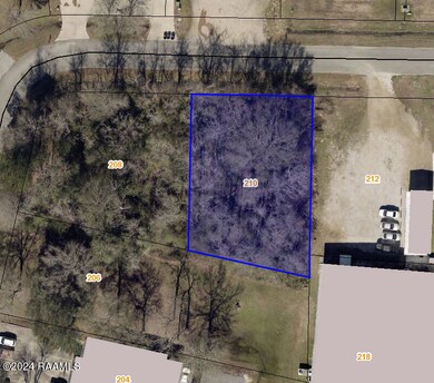 Tax Assessor Image