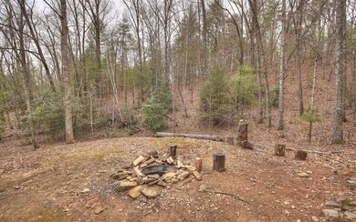 257 Gibbs Dr, Mineral Bluff, GA 30559 - photo 4