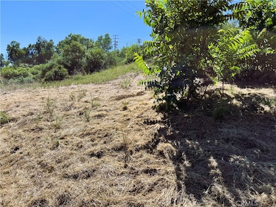 0 Latigo Canyon Rd unit PV25257994, Malibu, CA 90265 - photo 4