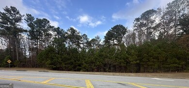 0 Hilo Rd unit 10647506, Fayetteville, GA 30215 - photo 3