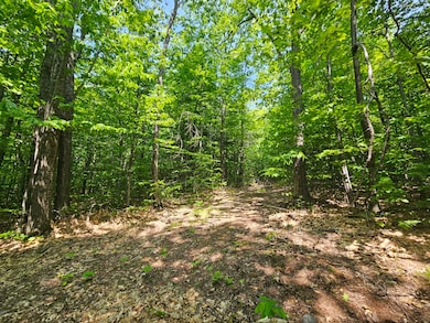 Lot 023-A Oak Hill Rd, Temple, ME 04984 - photo 7