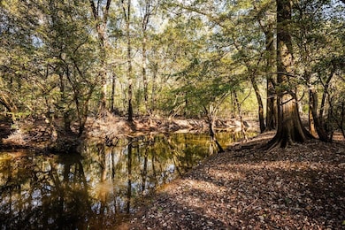 12245 County Rd 3514, Brownsboro, TX 75756 - photo 2