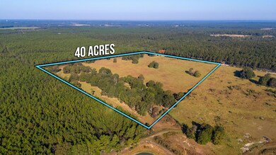 5-web-or-mls-Wallace Rd Aerial-5