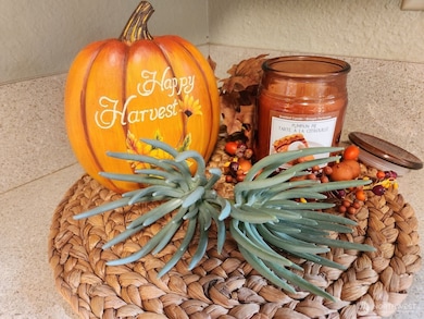 Imagine enjoying the gorgeous fall season while prepping food in your new kitchen!