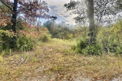 One of several open clearnings throughout the property 
