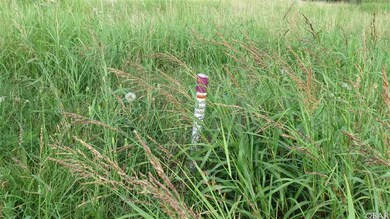 119 Hammock View Ct, Aydlett, NC 27916 - photo 4