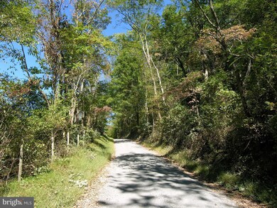 0 Gid Brown Hollow Rd unit VARP2000702, Washington, VA 22747 - photo 2