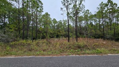 LOT 23 Madie Ln, Santa Rosa Beach, FL 32459 - photo 4