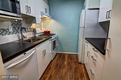 5825 Cove Landing Rd unit 203, Burke, VA 22015 - photo 7