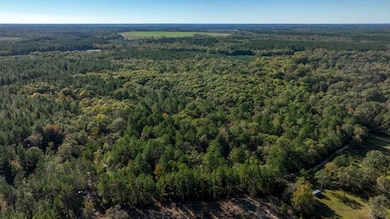 Scarboro Landing, Millen, GA 30442 - photo 4