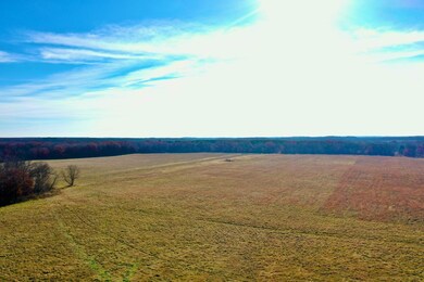 NA 305th Ave NW, Spencer Brook Township, MN 55371 - photo 6