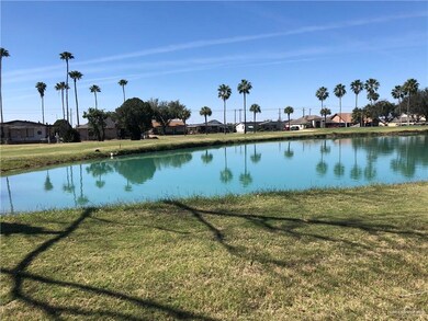 913 Palm Dr, Alamo, TX 78516 - photo 3