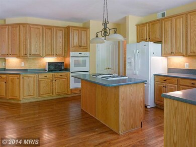 21532 Chickacoan Trail Dr, Broadlands, VA 20148 - photo 3
