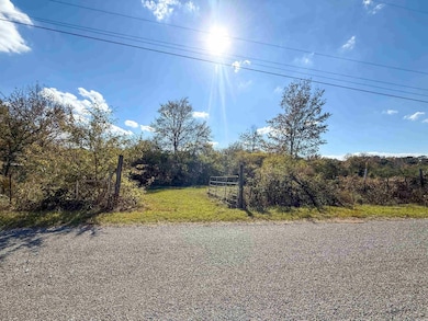 13 Grant County Road 455, Prattsville, AR 72129 - photo 5