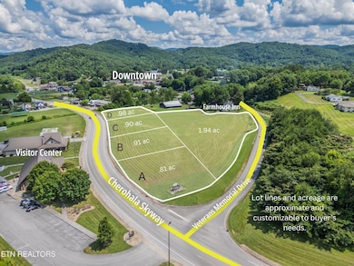 0 1d Cherohala Skyway unit 1324320, Tellico Plains, TN 37385 - photo 2