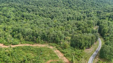 298 Burns Hollow Rd, Waynesboro, TN 38485 - photo 7