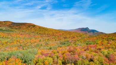 DJI_0167-2