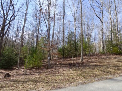 471 Royal Oaks Dr unit 3, Glade Springs, WV 25832 - photo 3