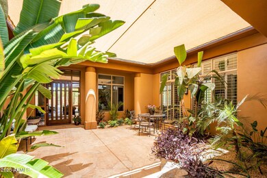 Shaded Courtyard