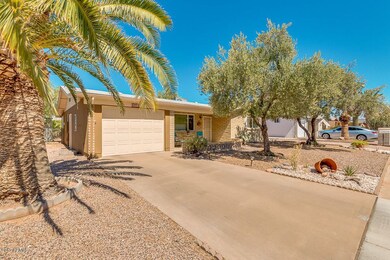 02-Palo Verde