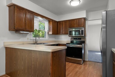 9672 Daisy Ln, Dexter, MI 48130 - photo 4