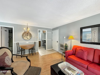 185 E Valley Point Ln unit B101, Claysburg, PA 16625 - photo 3