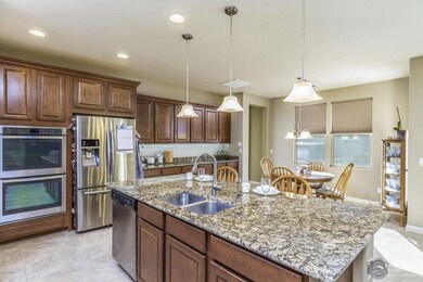 SS Double Ovens