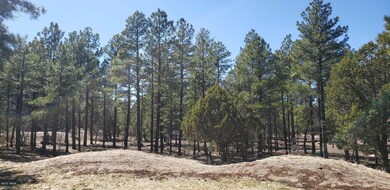 1300 S Jimson Loop