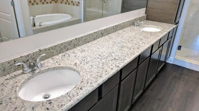 14338 Fissore Blvd, Wimauma, FL 33598 - photo 6