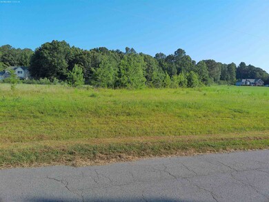 405 Richardson Rd, Pittsboro, NC 27312 - photo 2