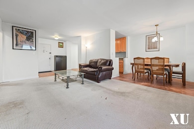 Carlyle Skyline Towers unit 10E, Flushing, NY 11355 - photo 5