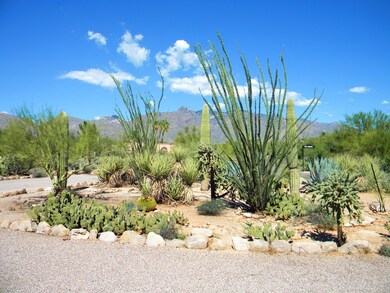 Almost an acre of desert landscaping