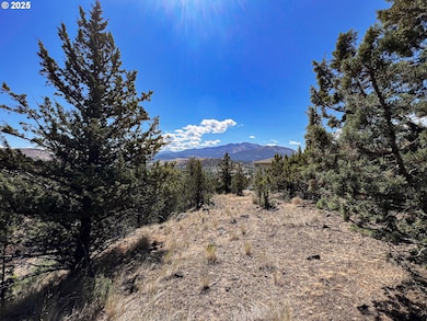 219 Valley View Dr, John Day, OR 97845 - photo 2