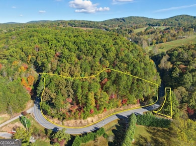 5240 Squirrel Hunting Rd, Morganton, GA 30560 - photo 4