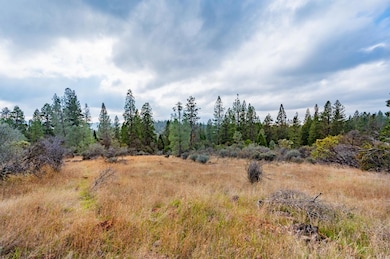 12137 Newtown Rd, Nevada City, CA 95959 - photo 2