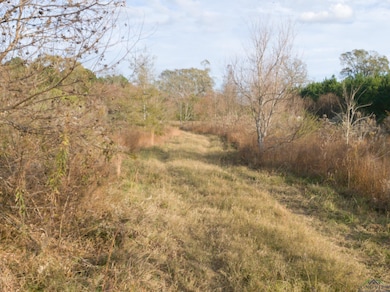 TBD Cr 122 E, Nacogdoches, TX 75695 - photo 6
