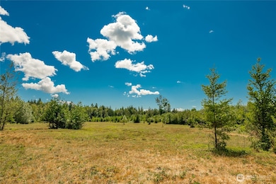 0 Sunrise Rd unit NWM2426084, Custer, WA 98240 - photo 2