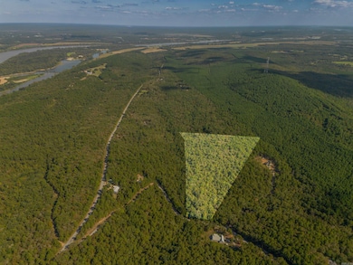 000 Dwight Little Rd, Roland, AR 72135 - photo 2