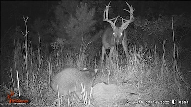 TBD S Booth Ave, Wister, OK 74966 - photo 3