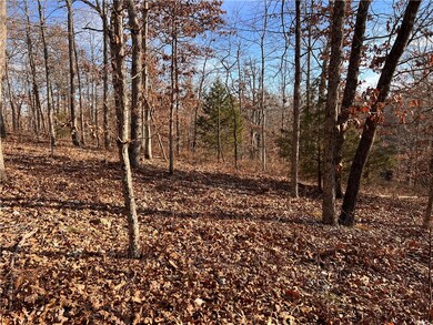 23 Dolly Cir, Bella Vista, AR 72715 - photo 5