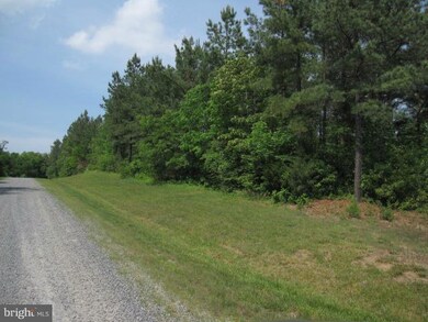 0 Governors Point Ln unit 1004628938, Unionville, VA 22567 - photo 3