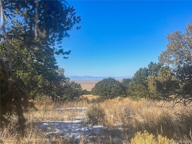 121 Cedar Ridge Rd, Mosca, CO 81146 - photo 2