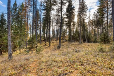 76 Meadow Mint Way, Kalispell, MT 59901 - photo 5