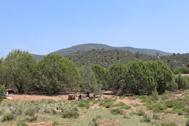 Lot 102 S Palomino Place unit 102, Payson, AZ 85541 - photo 3