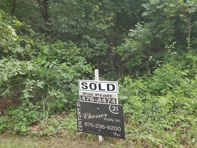 0 625 Rd unit 10099544, Paragould, AR 72450 - photo 2