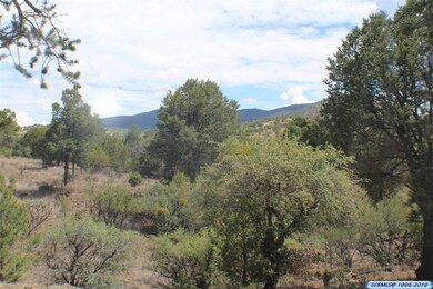 10 Rocky Creek Rd, Silver City, NM 88061 - photo 7