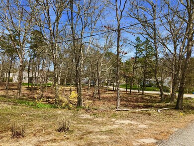 4 Cassandras Path, Edgartown, MA 02539 - photo 3