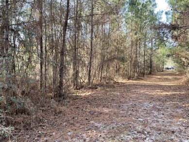 XXX Danley Grade, Crawfordville, FL 32327 - photo 3
