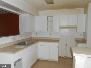 703 W Cherry Blossom Way, Baltimore, MD 21201 - photo 4