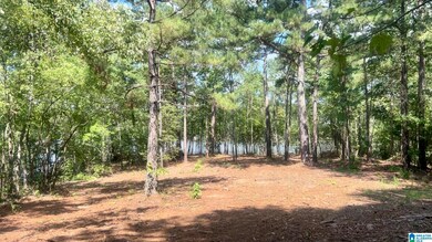 Lot 4/5 Old Highway 431 unit 1, Wedowee, AL 36278 - photo 5